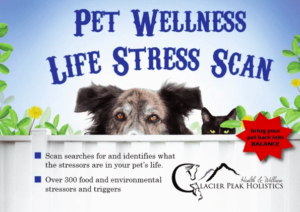 Pet Wellness Life Stress Scan box screenshot