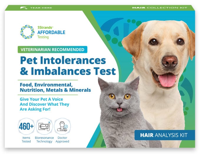 5strands intolerance imbalances tests for pets