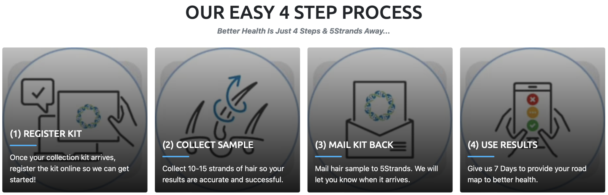 5Strands Dog Allergy Tests Review (updated 2024) Dog Allergy Tests